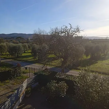 Il Pero Apartman Marsiliana